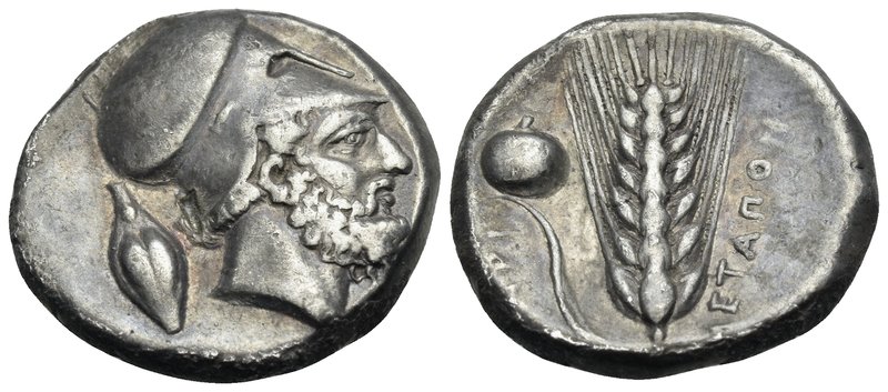 LUCANIA. Metapontum. Circa 400-340 BC. Didrachm or nomos (Silver, 20.5 mm, 7.77 ...