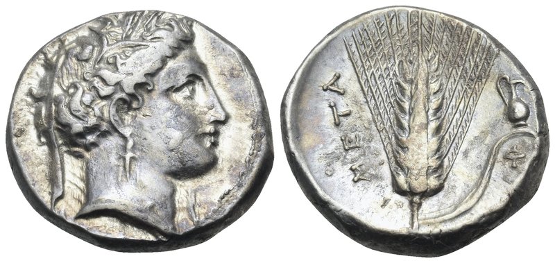 LUCANIA. Metapontum. Circa 340-330 BC. Nomos or Didrachm (Silver, 19.5 mm, 7.82 ...