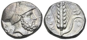 LUCANIA. Metapontum. Circa 340-330 BC. Nomos or Didrachm (Silver, 17.5 mm, 7.95 g, 1 h). ΛEYKI-ΠΠOΣ Helmeted head of Leukippos to right; behind, dog s...