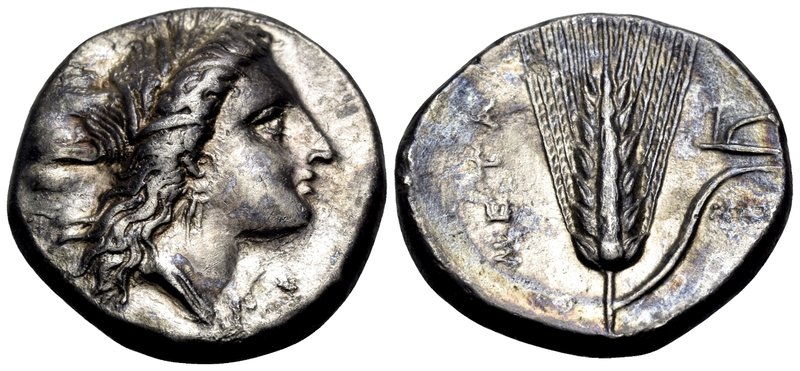 LUCANIA. Metapontum. Circa 330-290 BC. Didrachm or nomos (Silver, 20.5 mm, 7.82 ...