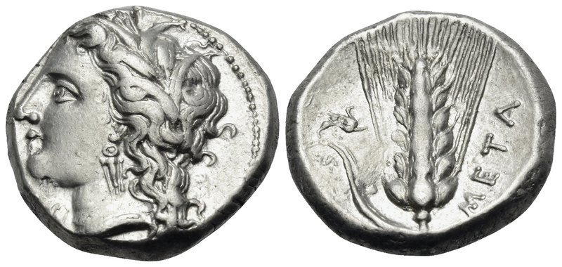 LUCANIA. Metapontum. Circa 330-290 BC. Didrachm or nomos (Silver, 19.5 mm, 7.90 ...