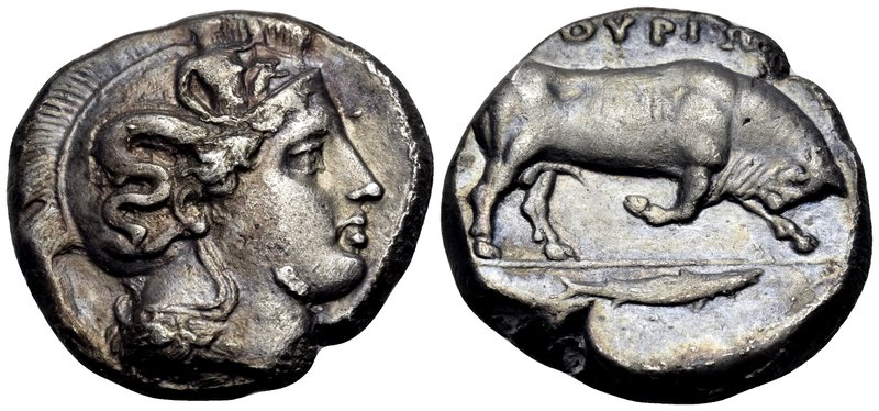 LUCANIA. Thourioi. Circa 400-350 BC. Distater (Silver, 25 mm, 15.54 g, 5 h), c. ...