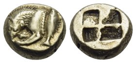 MYSIA. Kyzikos. Circa 550-500 BC. Hemihekte (Electrum, 8 mm, 1.29 g). Forepart of lion left, devouring prey; to right, tunny fish swimming upwards. Re...