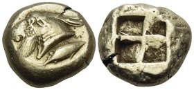 MYSIA. Kyzikos. Circa 550-450 BC. Stater (Electrum, 19.5 mm, 16.21 g). Head of a goat with long beard to left; behind truncation, tunny fish swimming ...