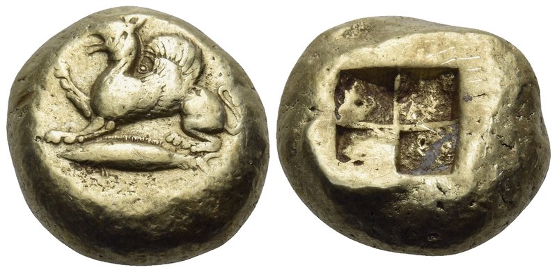 MYSIA. Kyzikos. Circa 550-450 BC. Stater (Electrum, 18 mm, 16.08 g). Griffin, ra...