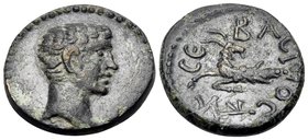 MYSIA. Cyzicus. Augustus, 27 BC - 14 AD. (Bronze, 18 mm, 4.05 g, 10 h). Bare head of Augustus to right. Rev. CEΒΑCΤΟC Capricorn to left, turning head ...