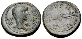 CARIA. Euippe. Augustus, 27 BC - AD 14. (Bronze, 18 mm, 4.47 g, 12 h). ΣΕ-ΒΑΣΤΟΣ Laureate head of Augustus to right; on neck, eagle standing right wit...