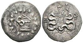 Mysia. Pergamon. Cistóforo. 190-133 a.C. Anv.: Cista mística con una serpiente, rodeada de corona de yedra. Rev.: Arco entre serpientes, rodeado de co...