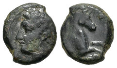 Sicily. Panormos. AE 13. 336-330 d.C. Rev.: Parte delantera de caballo a derecha. Ae. 1,76 g. Almost VF. Est...20,00.