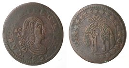 Importante Collezione del Vicereame. I° parte. Napoli. Carlo II. 1674-1700. Tornese 1682. Ae. Magliocca 65. Peso gr. 5,73. Diametro mm. 24,50. Schiacc...