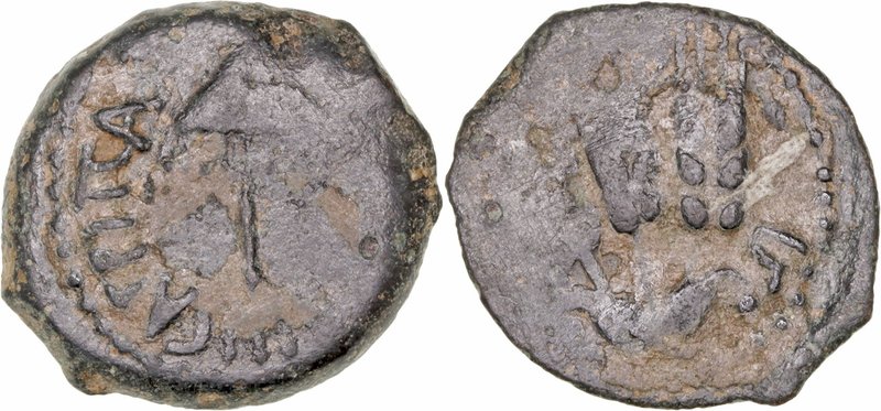 Judea
Agripa I
Prutah. AE. (37-44 d.C.). A/Sombrilla y ley. R/Tres espigas y l...
