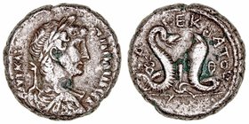 Adriano
Tetradracma. AR. Alejandría. (117-138). A/Busto laureado, drapeado y acorazado, alrededor ley. R/LAEKATOV (año 10). La serpiente Agathodaimon...