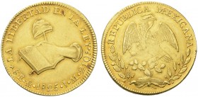 COINS & MEDALS FROM OVERSEAS 
 MEXICO 
 Republic, 1823-1864. 8 Escudos 1825 Mo JM, Mexico City. LA LIBERTAD EN LA LEY. Hand with Liberty cap over bo...