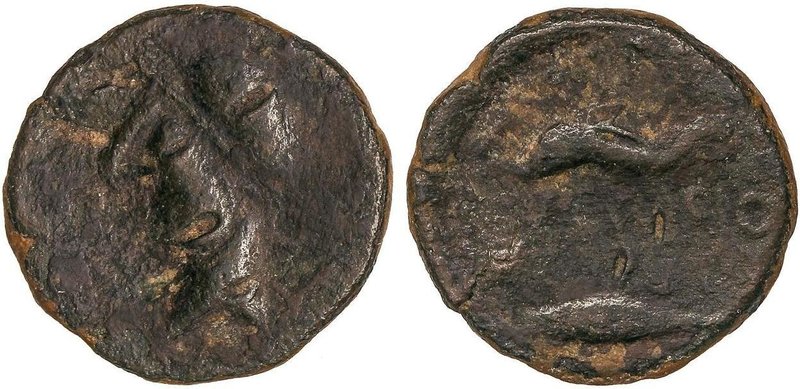 CELTIBERIAN COINS
Semis. 150-50 a.C. ABDERA (ADRA, Almería). Anv.: Cabeza mascu...