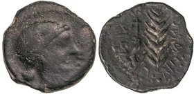 CELTIBERIAN COINS
As. 120-20 a.C. ABRA (PORCUNA. Jaén). Anv.: Cabeza femenina a derecha, delante (ABRA). Rev.: Espiga y arado, alrededor inscripcione...