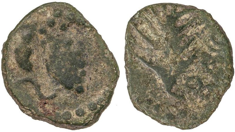 CELTIBERIAN COINS
Semis. 50 a.C. BAICIPO (CÁDIZ). Anv.: Racimo a izquierda S. R...
