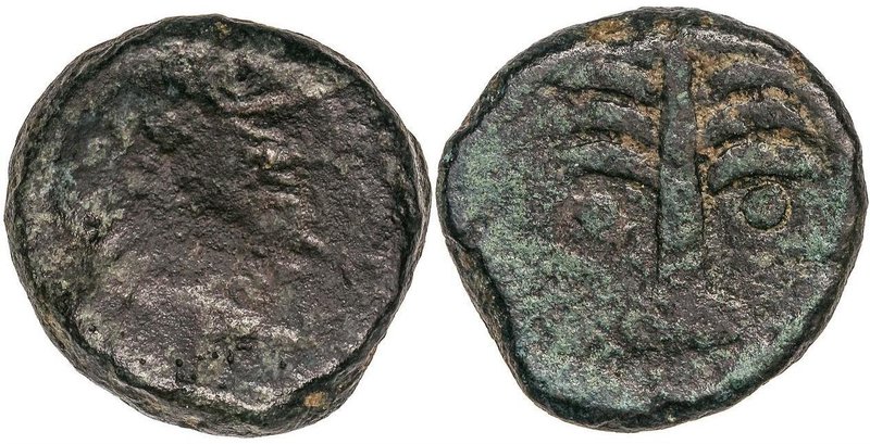 CELTIBERIAN COINS
Dicalco. 200-100 a.C. BARIA (VILLARICOS, Almería). Anv.: Cabe...