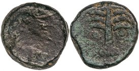CELTIBERIAN COINS
Dicalco. 200-100 a.C. BARIA (VILLARICOS, Almería). Anv.: Cabeza de Hércules con piel de león a derecha. Rev.: Palmera. 20,40 grs. A...