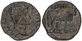 CELTIBERIAN COINS
As. 14-36 d.C. ÉPOCA DE TIBERIO. CASCATUM (CASCANTE, Navarra). Anv.: TI. CAE(SAR). DIVI. AVG. F. AVGVSTVS. Cabeza de Tiberio laurea...