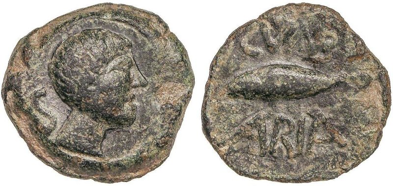 CELTIBERIAN COINS
Semis. 50 a.C. CUNBARIA (LAS CABEZAS DE SAN JUAN, Sevilla). A...