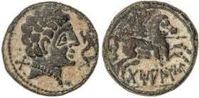 CELTIBERIAN COINS
As. 120-20 a.C. DAMANIU (Zona de Aragón). Anv.: Cabeza masculina a derecha, delante delfín, detrás signo ibérico TA. Rev.: Jinete c...