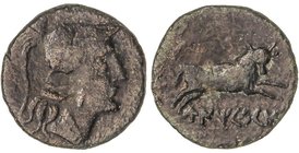 CELTIBERIAN COINS
Semis. 130-90 a.C. UNTICESCEN (SANT MARTÍ D´EMPÚRIES, Girona). Anv.: Cabeza de Palas a derecha con casco. Rev.: Toro embistiendo a ...