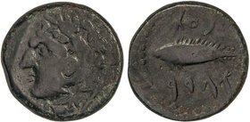 CELTIBERIAN COINS
Semis. 100-20 a.C. GADES (CÁDIZ). Anv.: Cabeza de Hércules con piel de león a izquierda, detrás clava. Rev.: Atún a izquierda, enci...