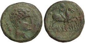 CELTIBERIAN COINS
As. 120-20 a.C. ILTIRCESCEN (SOLSONA, Lleida). Anv.: Cabeza masculina a derecha, detrás espiga. Rev.: Jinete con palma a derecha, d...