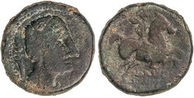 CELTIBERIAN COINS
As. Mediados siglo II a.C. ILTIRCES (SOLSONA, Lleida). Anv.: Cabeza masculina a derecha, detrás espiga. Rev.: Jinete con palma a de...