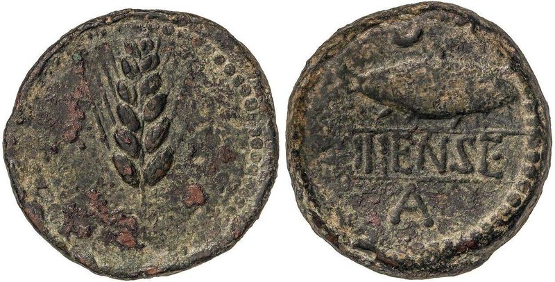 CELTIBERIAN COINS
As. 120-20 a.C. ILIPENSE (ALCALÁ DEL RÍO, Sevilla). Anv.: Esp...