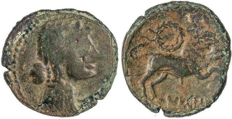 CELTIBERIAN COINS
As. 120-45 a.C. NERONKEN (NARBONA, Francia). Anv.: Cabeza fem...