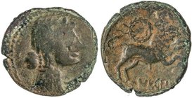 CELTIBERIAN COINS
As. 120-45 a.C. NERONKEN (NARBONA, Francia). Anv.: Cabeza femenina con velo a derecha. Rev.: Toro saltando a derecha; encima laúrea...