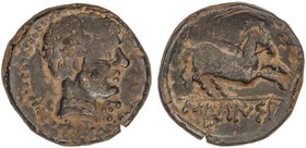 CELTIBERIAN COINS
Semis. 120-20 a.C. SECAISA (BELMONTE, Zaragoza). Anv.: Cabeza masculina a derecha, delante letra ibérica S. Rev.: Caballo a derecha...