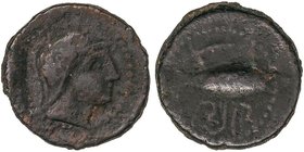 CELTIBERIAN COINS
Semis. 200-20 a.C. SEXI (ALMUÑÉCAR, Granada). Anv.: Cabeza con casco a derecha. Rev.: Atún a derecha, encima letra púnica alef y de...