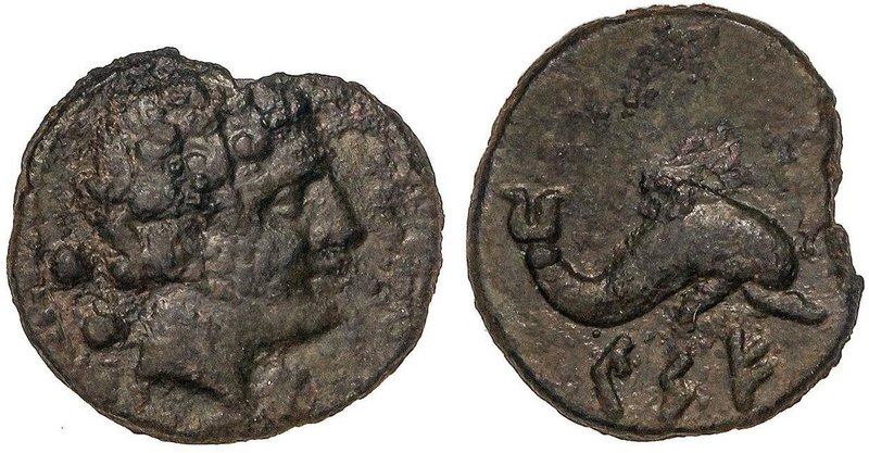 CELTIBERIAN COINS
Sextante. 120-20 a.C. CESE (TARRAGONA). Anv.: Cabeza masculin...