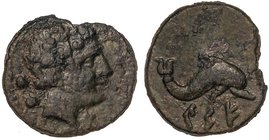 CELTIBERIAN COINS
Sextante. 120-20 a.C. CESE (TARRAGONA). Anv.: Cabeza masculina a derecha, detrás dos glóbulos. Rev.: Delfín a derecha, debajo leyen...
