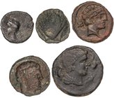 CELTIBERIAN COINS
Lote 5 monedas 1/4 Calco, Cuadrante y Semis (3). ACUÑACIONES HISPANO-CARTAGINESAS, BOLSCAN (2), ILTIRTA y ARSE. AE. Incluye 1/4 Cal...