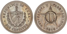 WORLD COINS: CUBA
2 Centavos. 1916. 3,5 grs. AR. Ligera pátina irregular. KM-A12. SC.