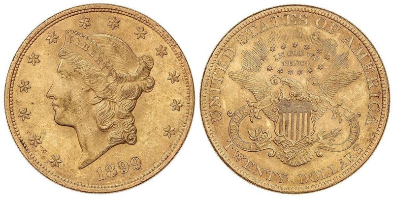 WORLD COINS: UNITED STATES
20 Dólares. 1899. 33,28 grs. AU. Coronet Head. (Leve...