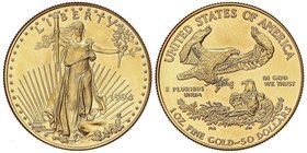 WORLD COINS: UNITED STATES
50 Dólares. 1994. 33,92 grs. AU. Saint-Gaudens. Fr-B1; KM-219. SC.