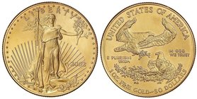 WORLD COINS: UNITED STATES
50 Dólares. 2002. 33,93 grs. AU. Saint-Gaudens. Fr-B1; KM-219. SC.