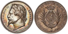 WORLD COINS: FRANCE
Medalla Concurso Regional y Exposición de Perpignan. 1862. Anv.: Busto de Napoleón III a izquierda. Rev.: Escudo de armas. 62,50 ...