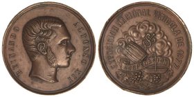 SPANISH MEDALS
Exposición Vinícola. 1877. ALFONSO XII. Anv.: Busto del monarca a derecha. Rev.: Alegorías Vinícolas. Br. Ø 40 mm. Grabador: Cortes. (...