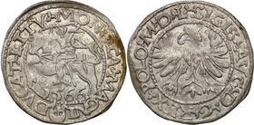 Sigismund II August
POLSKA/ POLAND/ POLEN/ LITHUANIA/ LITAUEN

Zygmunt II August. half Grosz (Groschen) 1566, Tykocin - RARITY R6 
Odmiana z małym...