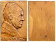 Medals and plaques
POLSKA/ POLAND/ POLEN / POLOGNE / POLSKO

II RP. Plaque Stefan Żeromski MW, 1926 - mała 
Znaki menniczy na rewersie. Bardzo dob...