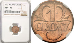 Poland II Republic 
POLSKA / POLAND / POLEN

II RP. 1 grosz 1923 NGC MS64 RD 
Wspaniały, naturalny kolor. Intensywny połysk menniczy. Bardzo wysok...