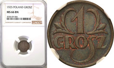 Poland II Republic 
POLSKA / POLAND / POLEN

II RP. Grosz 1925 NGC MS66 BN (2 MAX) 
Druga najwyższa nota gradingowa na świecie.Wczesne roczniki mo...