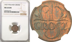 Poland II Republic 
POLSKA / POLAND / POLEN

II RP. 1 grosz 1927 NGC MS64 BN 
Menniczy egzemplarz z równomierną patyną na całej powierzchni. Rzads...