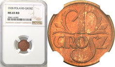 Poland II Republic 
POLSKA / POLAND / POLEN

II RP. 1 grosz 1928 NGC MS65 RD (2 MAX) 
Druga najwyższa nota gradingowa na świecie.Najbardziej poszu...
