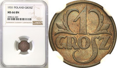 Poland II Republic 
POLSKA / POLAND / POLEN

II RP. 1 grosz 1931 NGC MS66 BN (2 MAX) 
Druga najwyższa nota gradingowa na świecie.Wspaniale zachowa...